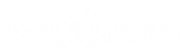 Next Level Logo